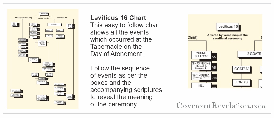 Leviticus Chart ABout
